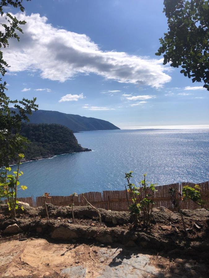 Kabak Ütopya Suites Faralya Exterior foto